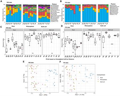 Global citrus root microbiota unravels assembly cues and core members